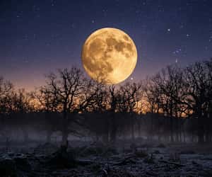 Countdown to Hunter's Moon 2026 - Mon, Oct 26, 2026