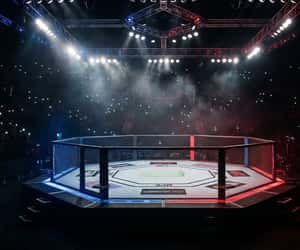 Countdown to UFC 329 - Sun, Jul 12, 2026 at 3:30am