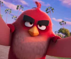 Countdown to The Angry Birds Movie 3 - Wed, Dec 23, 2026