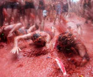 La Tomatina