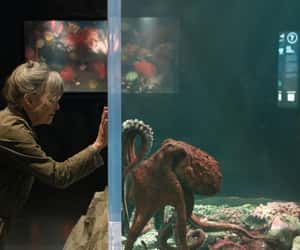 Countdown to Remarkably Bright Creatures - Fri, May 8, 2026