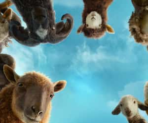 Countdown to The Sheep Detectives - Fri, May 8, 2026