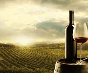 Countdown to Beaujolais Nouveau Day - Thu, Nov 19, 2026
