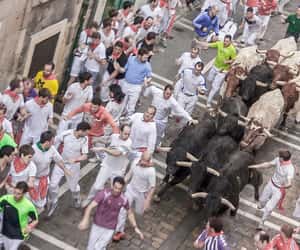 Countdown to Running of the Bulls - Tue, Jul 7, 2026
